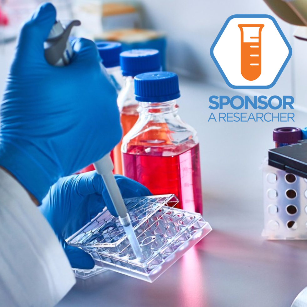 Sponsor A Researcher - An hour of research